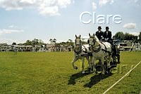$field.value