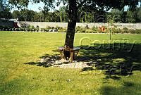 $field.value